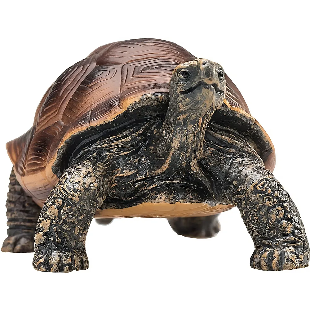 Mojo Wildlife Riesenschildkr�te