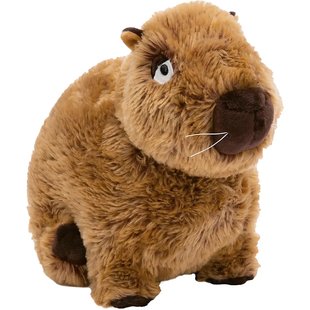 Nici Green Capybara Capy - Suche