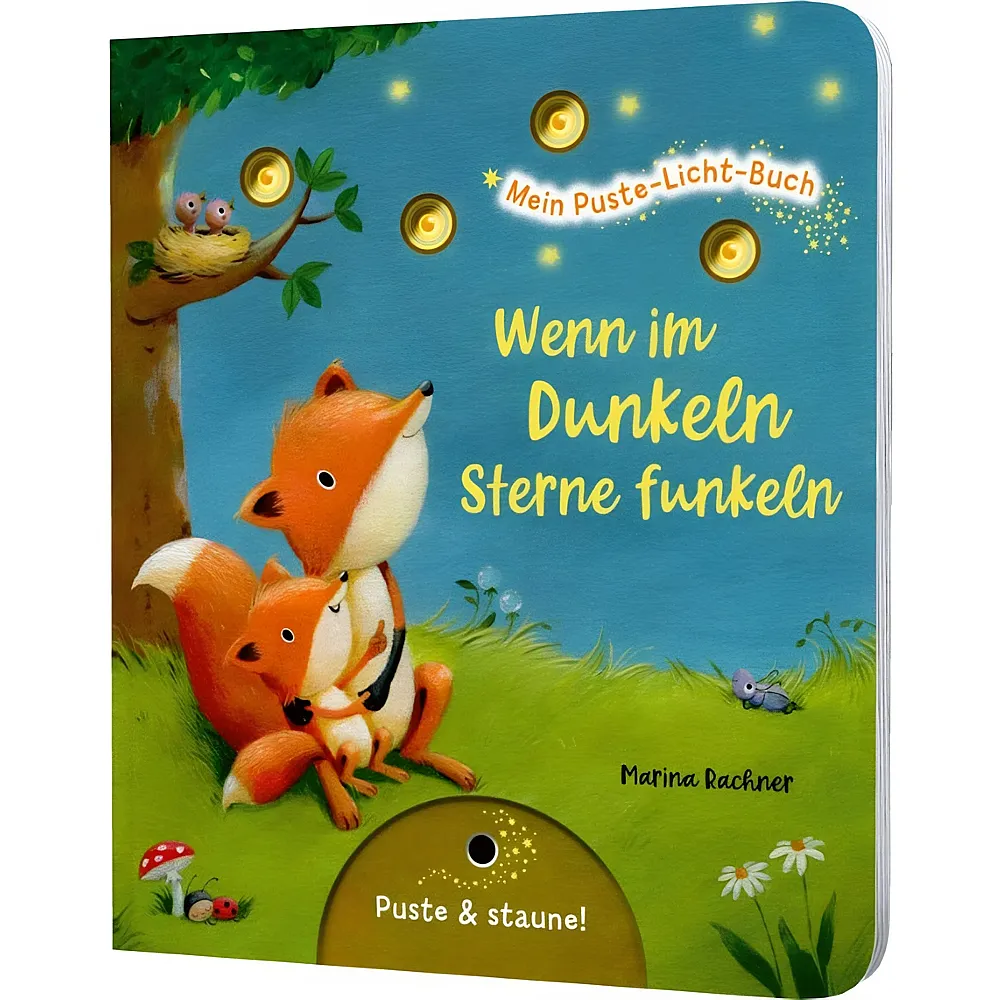Thienemann Mein Puste-Licht-Buch: Wenn im Dunkeln Sterne funkeln