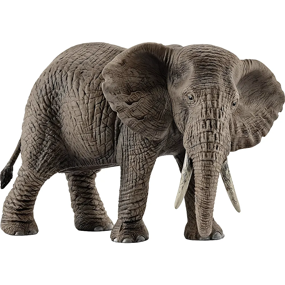 Schleich Wild Life Afrikanisches Elefantenweibchen