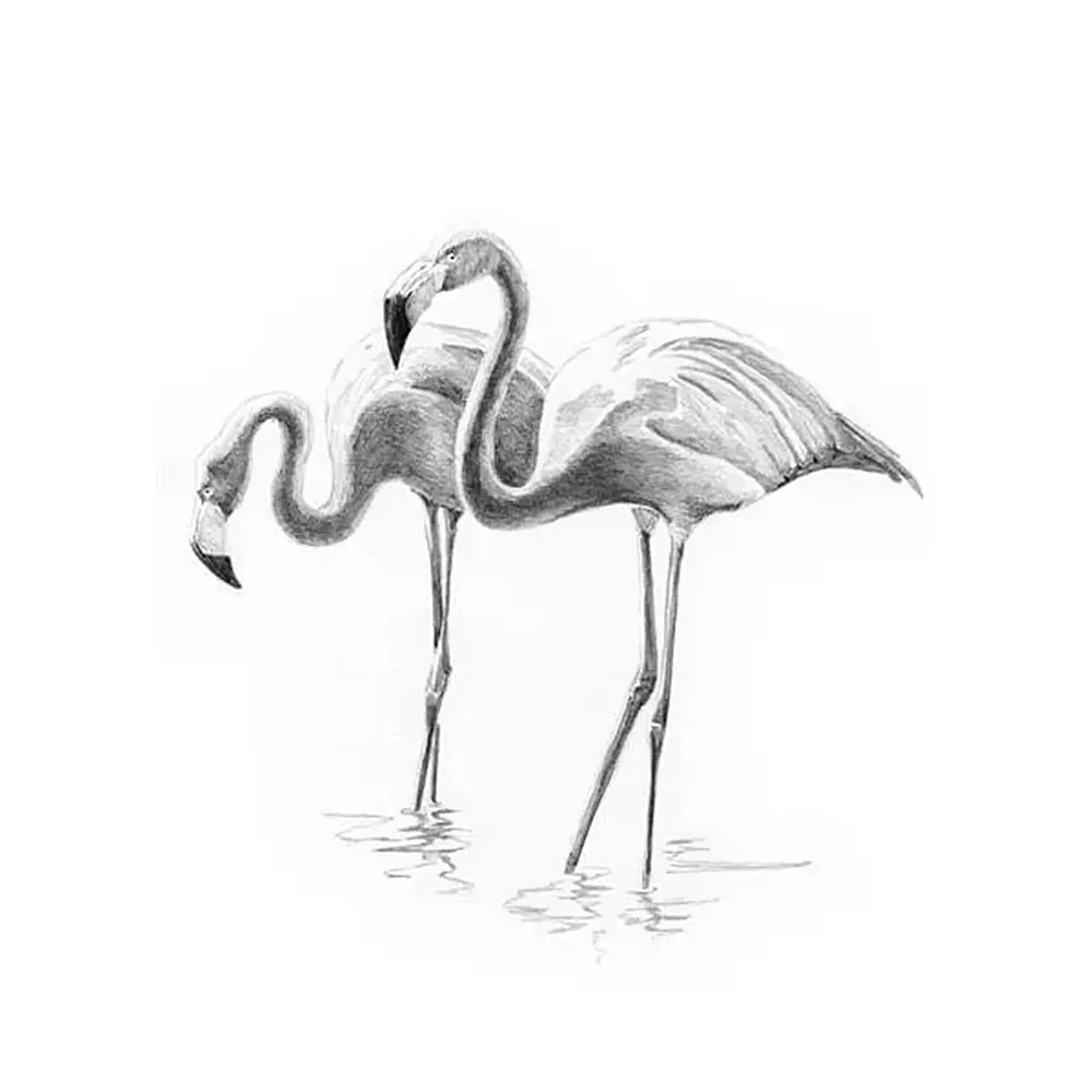 Royal & Langnickel R&l Sketching Mni Les Flamants Roses 14x20cm - Suche