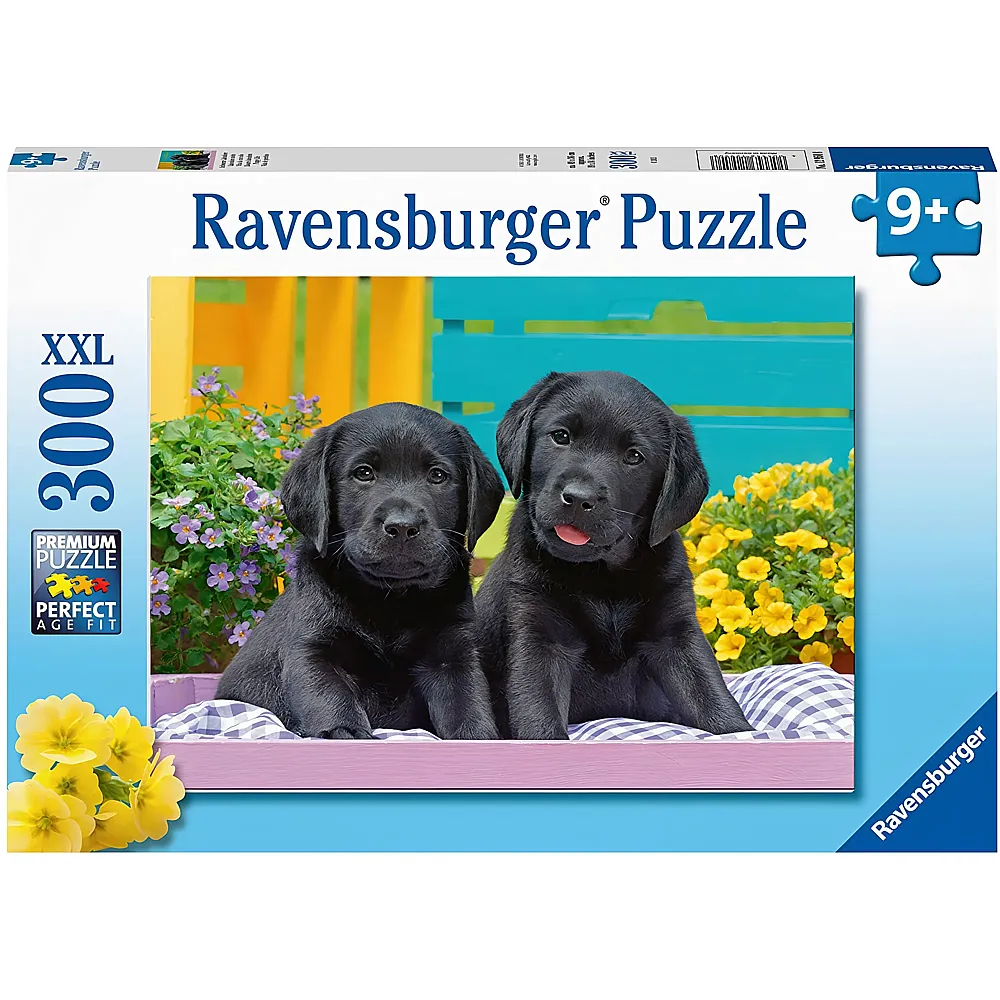 Ravensburger Puzzle Labrador Welpen 300Teile