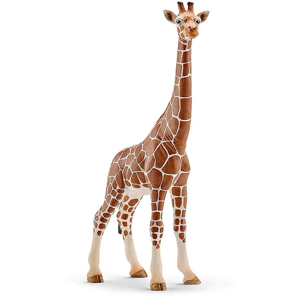 Schleich Wild Life Safari Giraffenkuh | Wildtiere