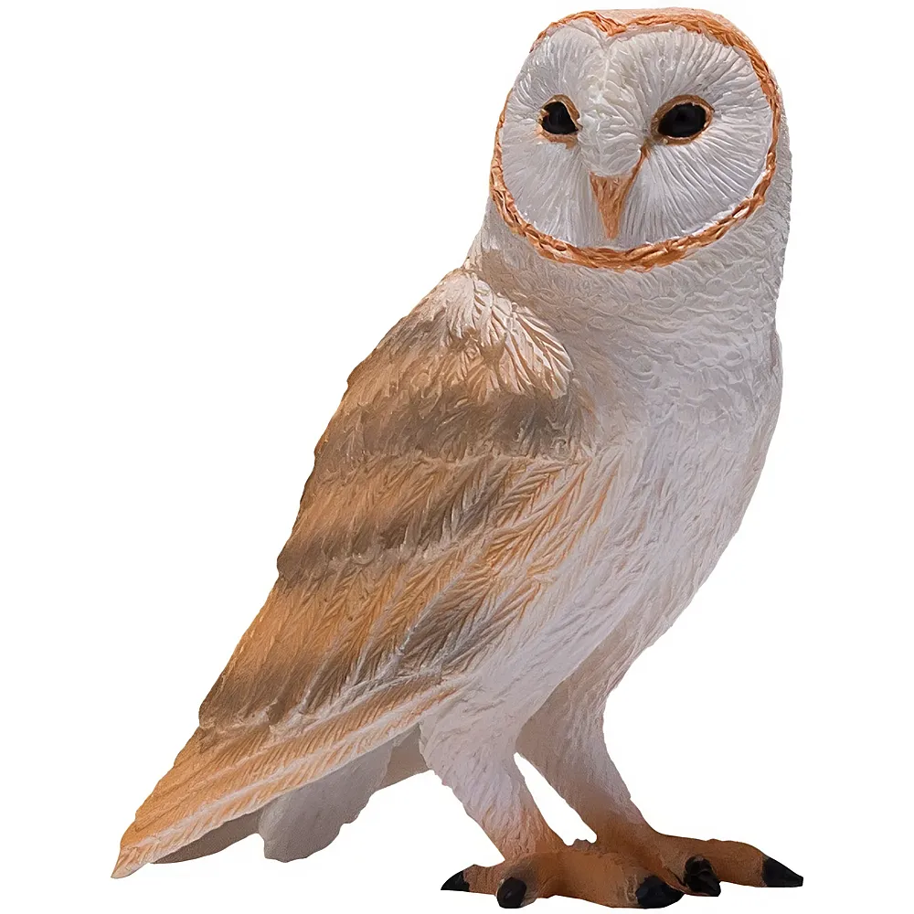 Mojo Wildlife Schleiereule