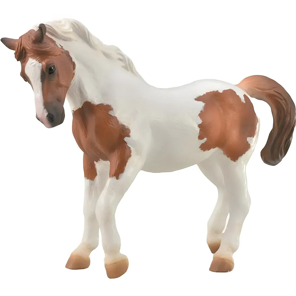 meinspielzeug - CollectA Horse Country Chincoteague Pony - Chestnut Pinto | Pferde