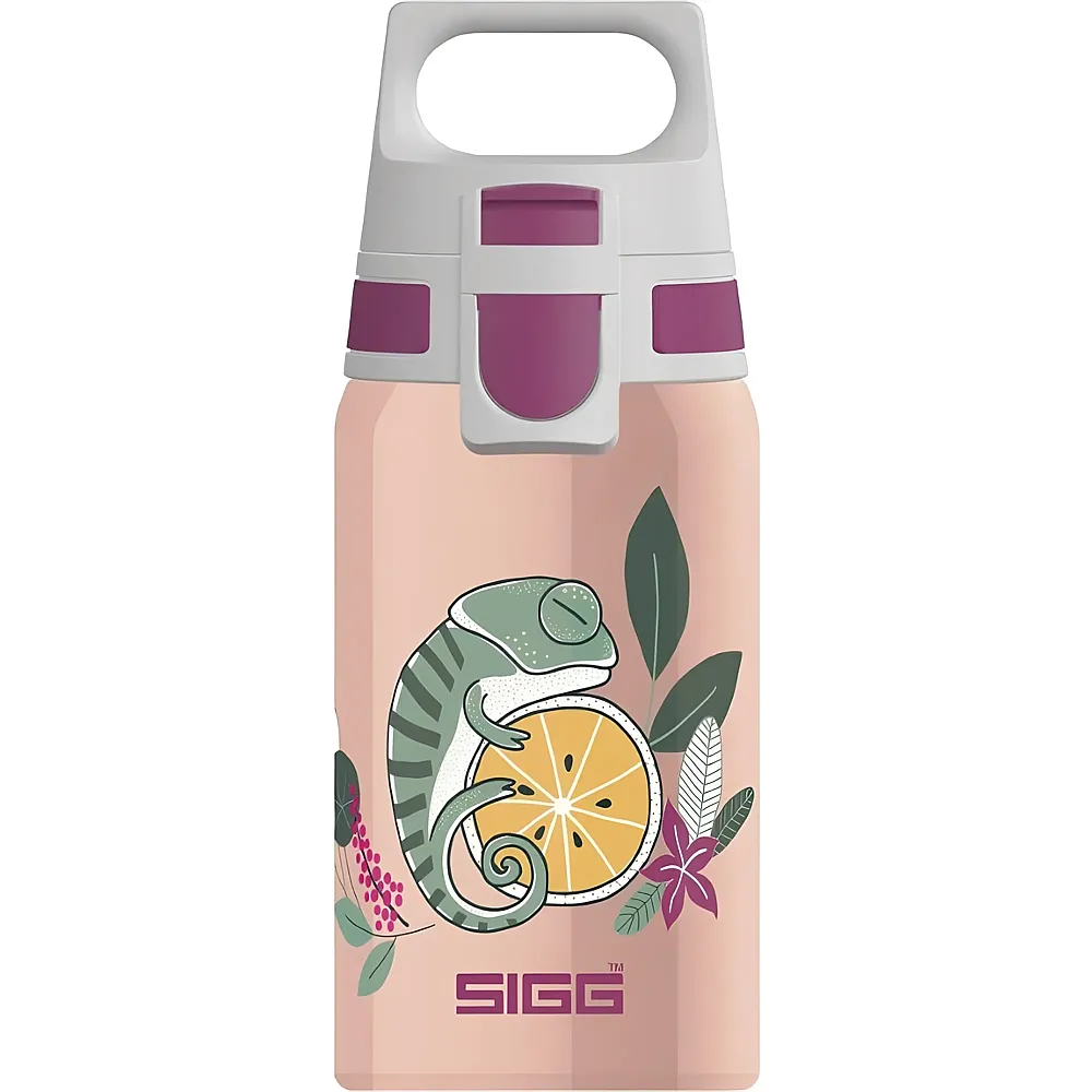 meinspielzeug - Sigg Shield One Edelstahl Trinkflasche Flora 500ml | Essen & Trinken