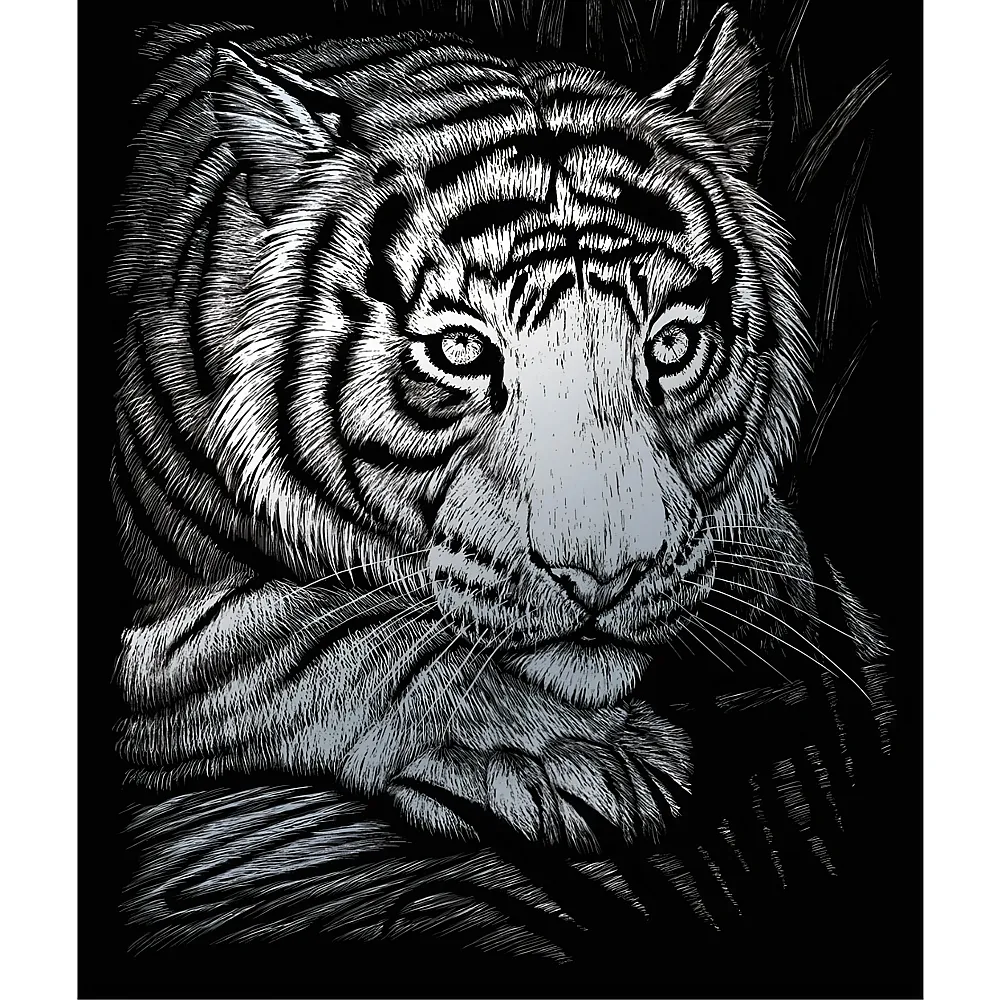 Royal & Langnickel R&l Gravures D'art Std Argent Tigre Blanc 21.3x29.5cm - Suche