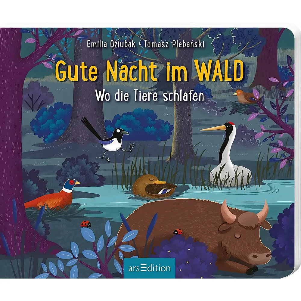ars Edition Gute Nacht im Wald