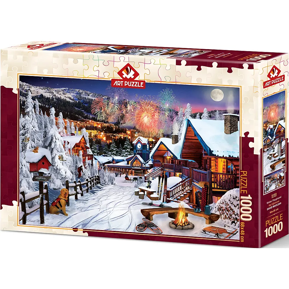 Art Puzzle Winter Fun - 1000 Teile