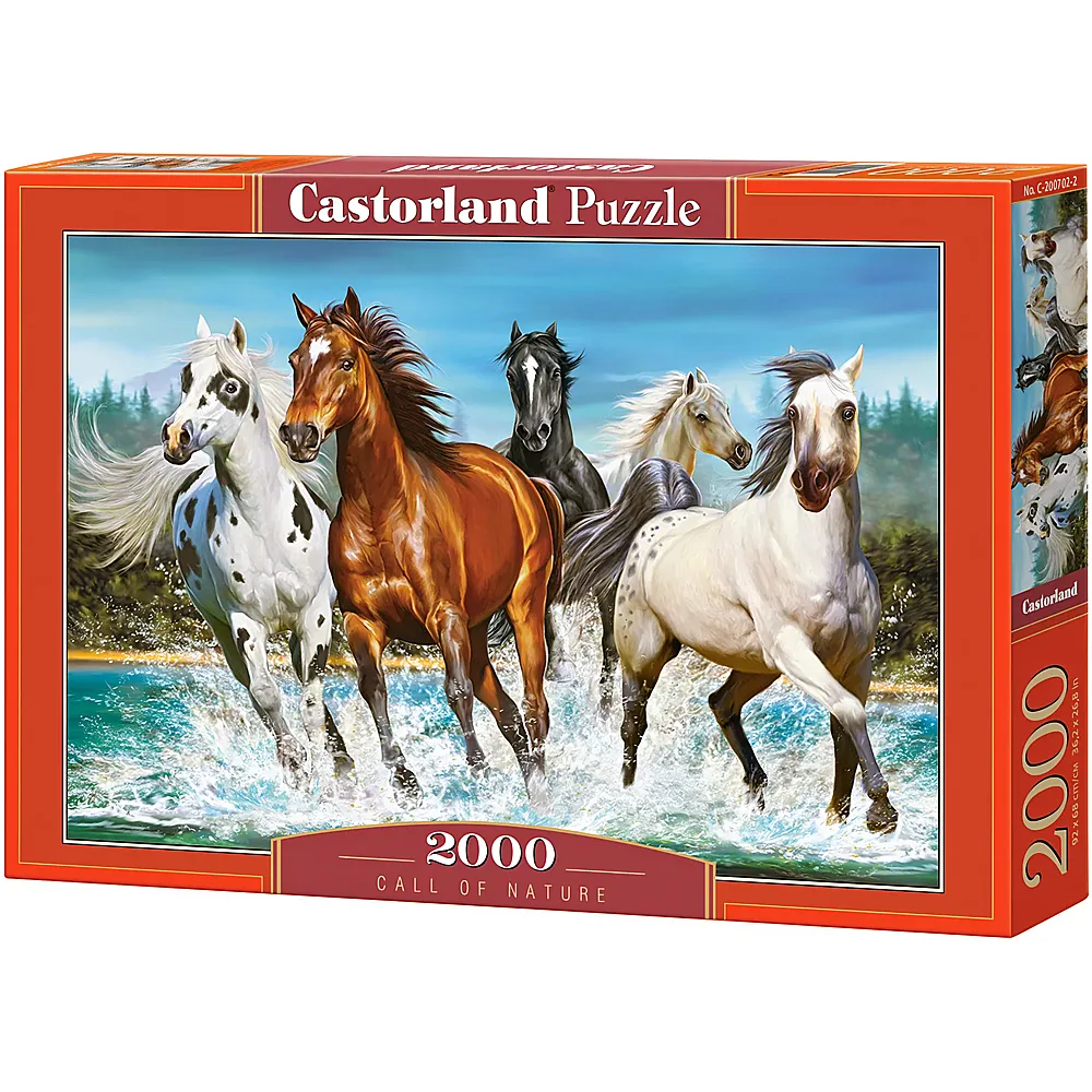 Castorland Puzzle Call of Nature 2000Teile