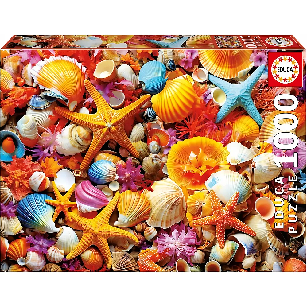 Educa Muschelcollage inklusive Fix Puzzle-Kleber - 1000 Teile