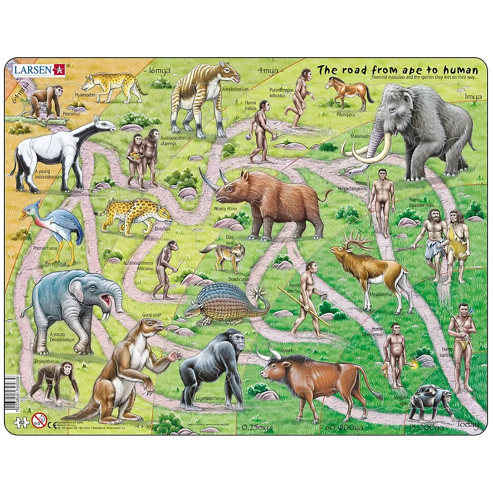 Larsen Puzzle Der Weg vom Affen zum Menschen auf Englisch - 83 Teile | Puzzle 10-104 Teile