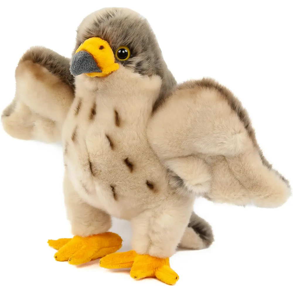 Teddys Rothenburg Falke Braun - 27 cm