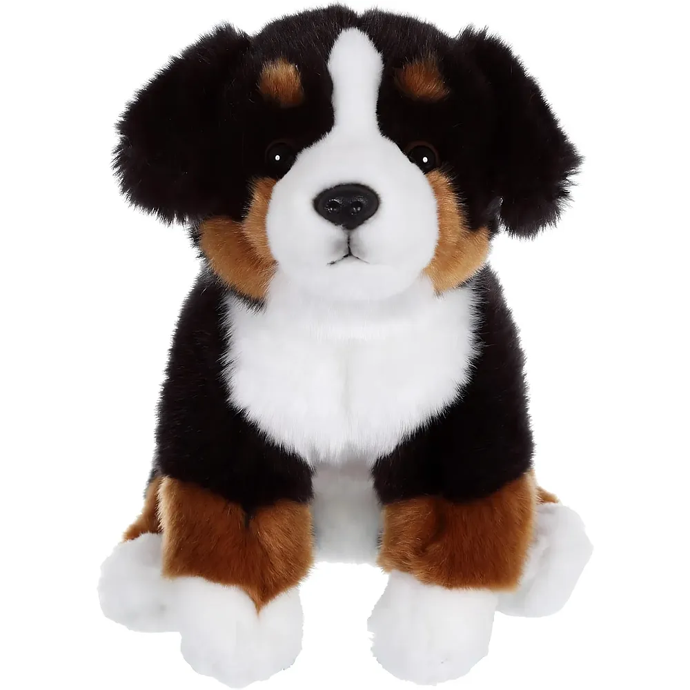 Gipsy Bovaro del Bernese - 25 cm