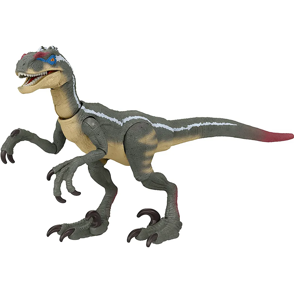 Mattel Jurassic World Hammond Collection Velociraptor | Dinosaurier