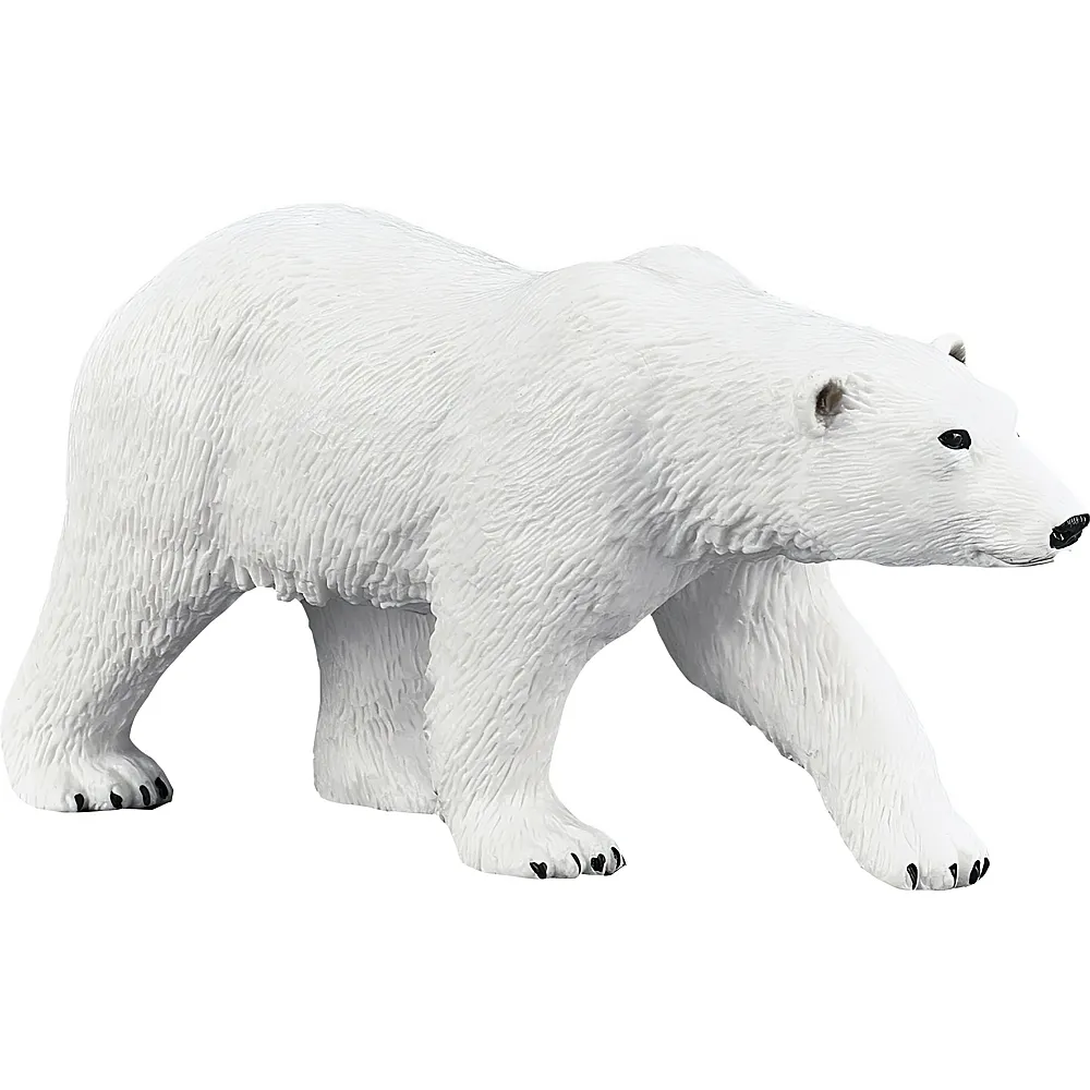 Mojo Wildlife Eisb�r