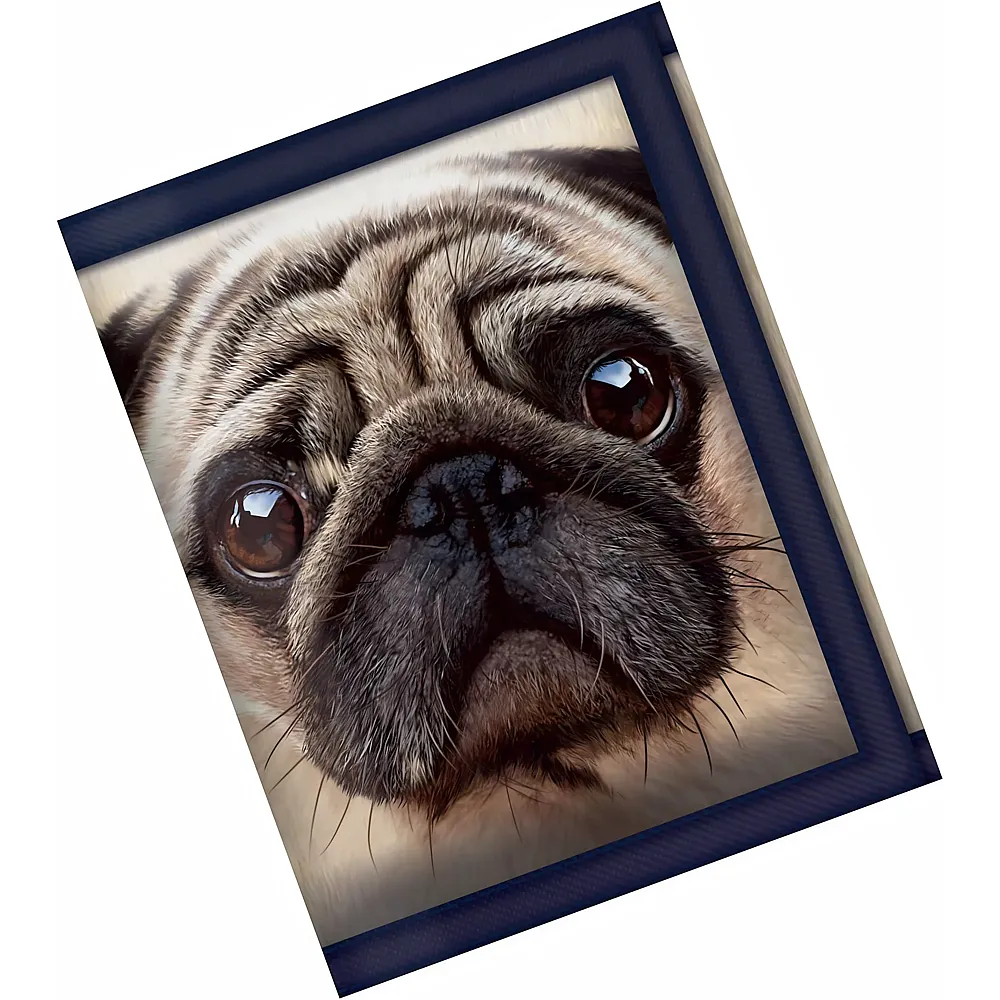 LiveLife 3D 3D Geldb�rse Mops - Suche