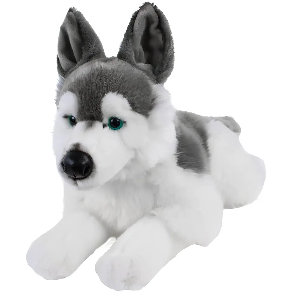 Teddys Rothenburg Husky Skalli lying down - 44 cm