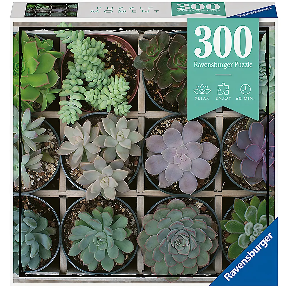 Ravensburger Puzzle Moment Green 300Teile