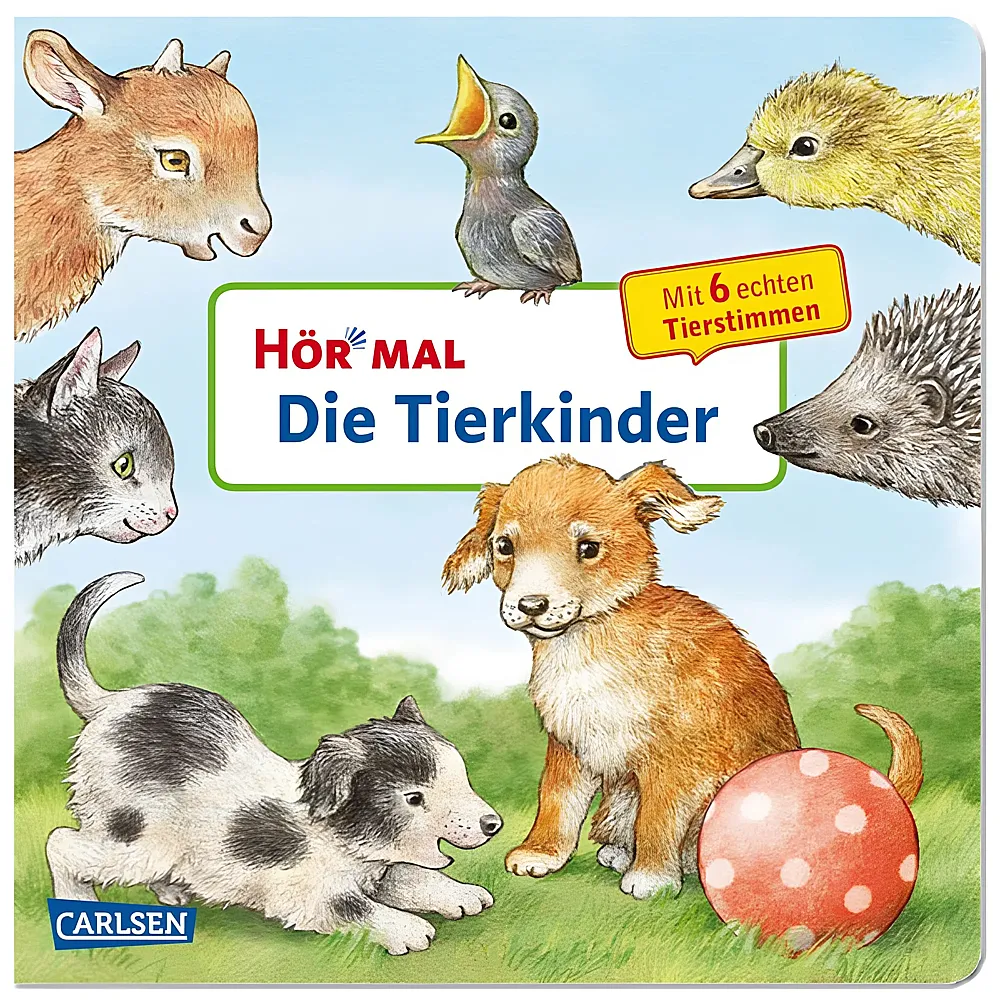 Carlsen Hr mal Tierkinder | Papp-Bilderbcher