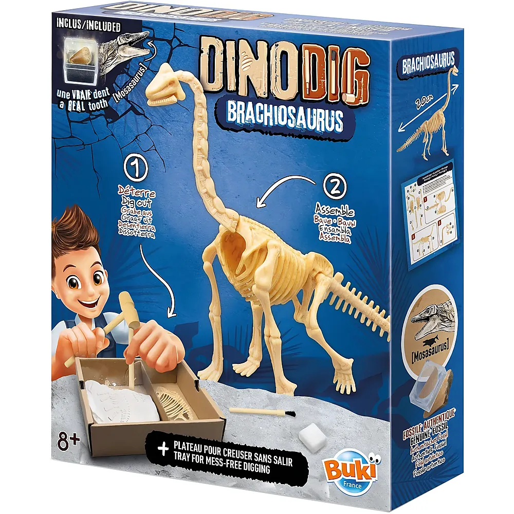 Buki Dino zum Ausgraben  Brachiosaurus