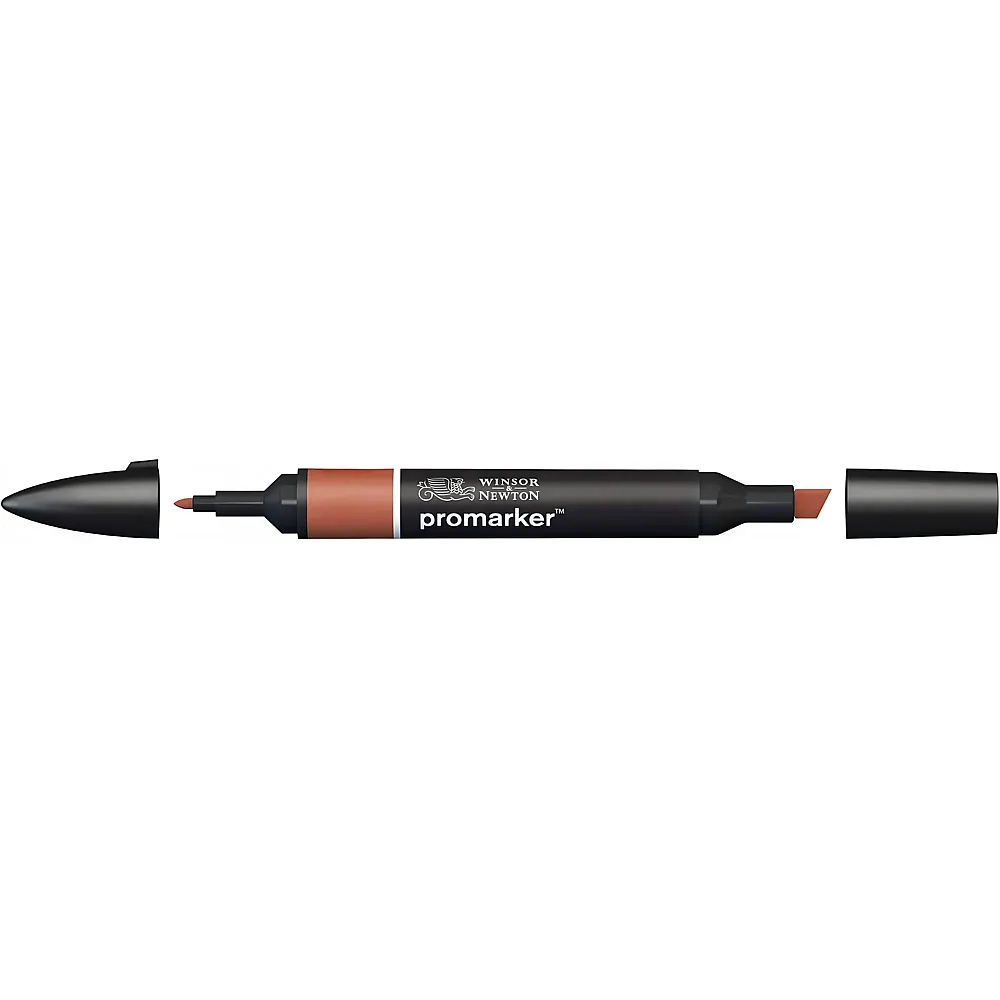 Winsor & Newton Promarker Stift mit 2 Spitzen Umbra Gebrannt