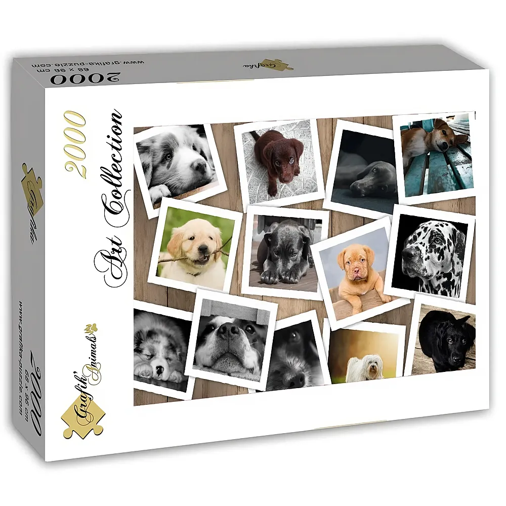 Grafika Puzzle Art Collection Hunde-Fotos - 2000 Teile