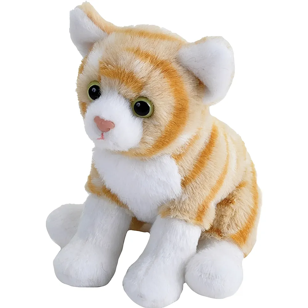 meinspielzeug - Wild Republic Pocketkins Katze Orange - 13 cm | Katzen Pl�sch