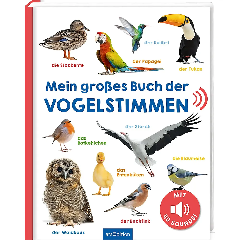 ars Edition Mein grosses Buch der Vogelstimmen