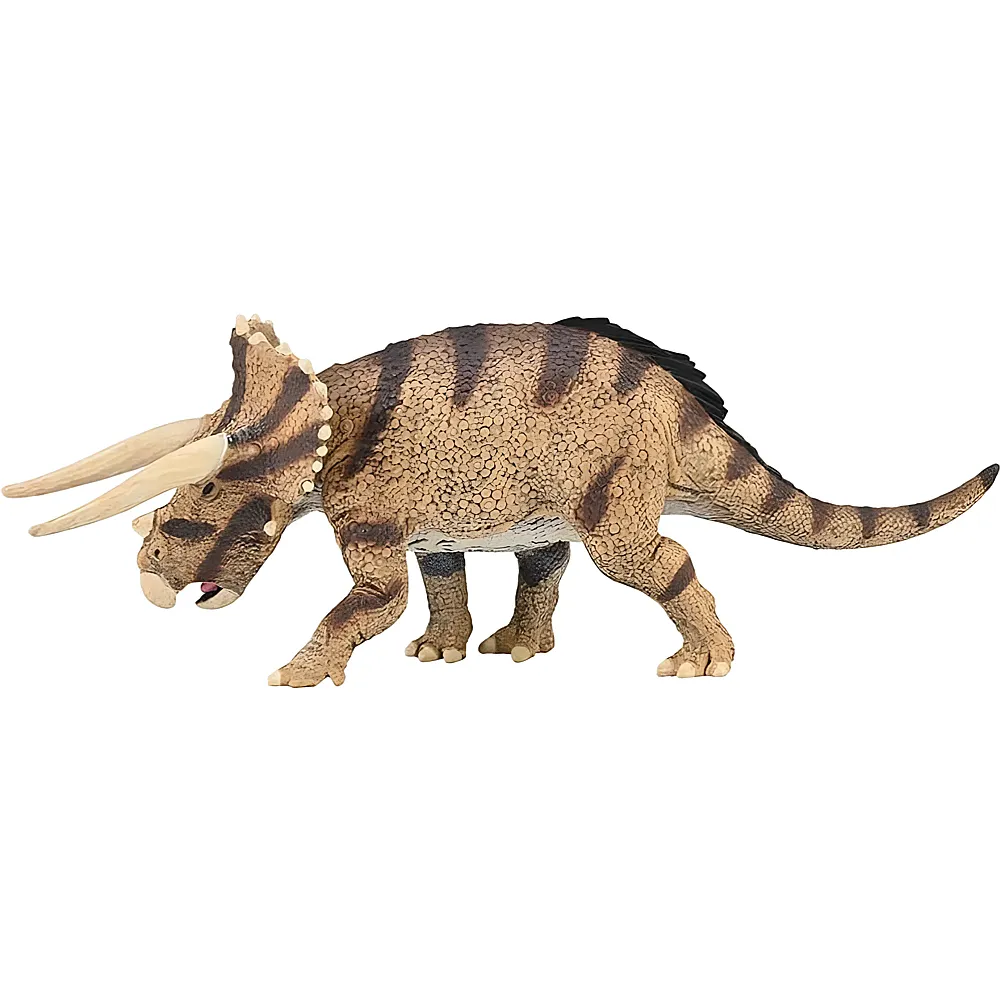 meinspielzeug - CollectA Prehistoric World Triceratops Horridus | Dinosaurier