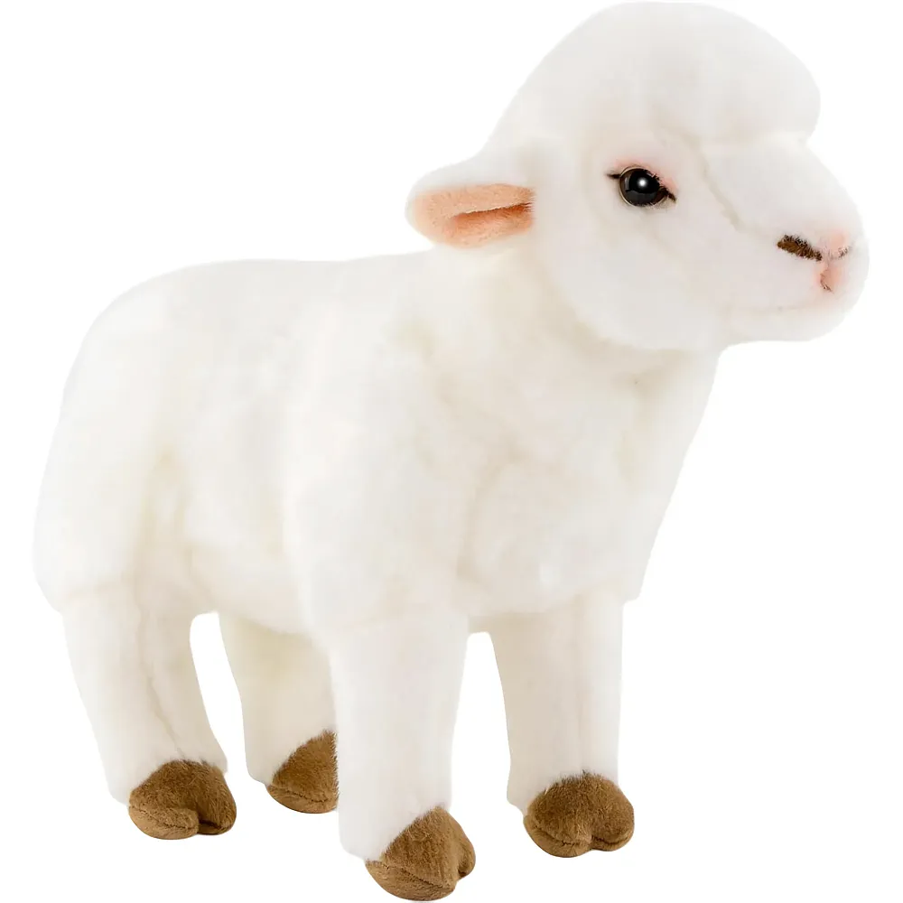 Carl Dick Lamm stehend - 28 cm - Bauernhoftiere Pl�sch