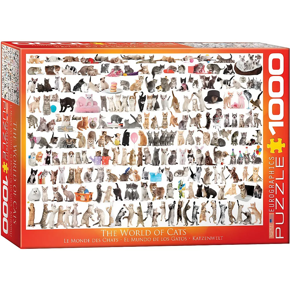 Eurographics Puzzle Katzenwelt - 1000 Teile