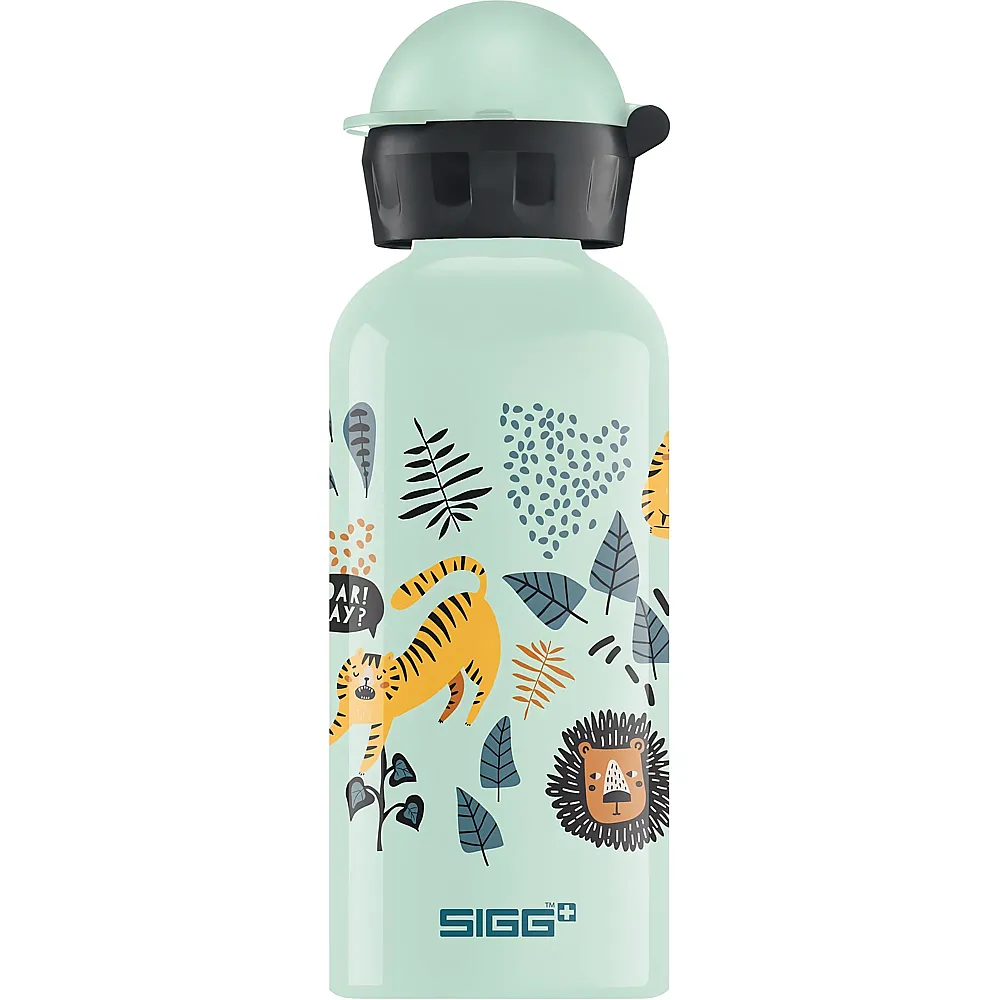 Sigg Alu Trinkflasche Junge Tzz - 400 ml | Essen & Trinken