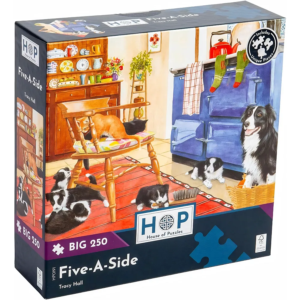 HOP - House of Puzzles Five-A-Side 250Teile