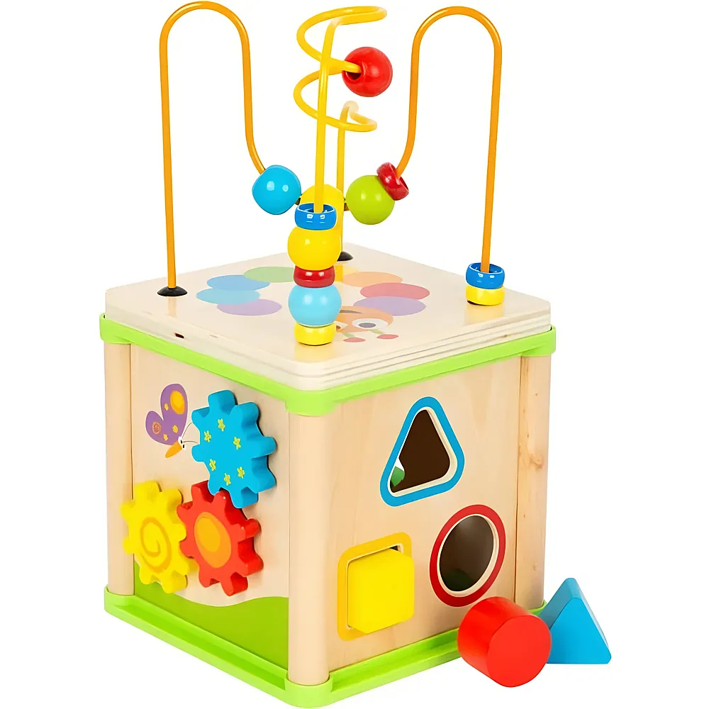 small foot Play & Learn Motorikw�rfel Insekten
