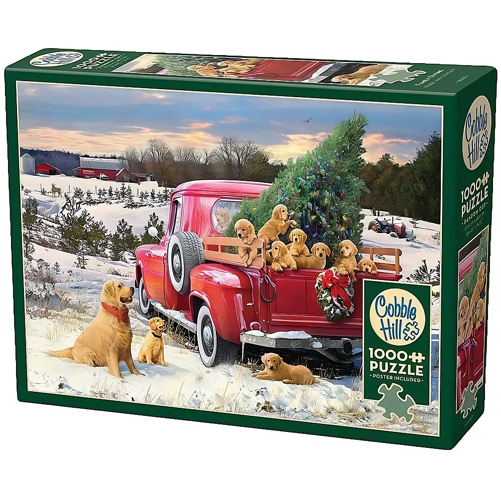 Cobble Hill Puzzle Greg Giordano Family Outing 1000Teile