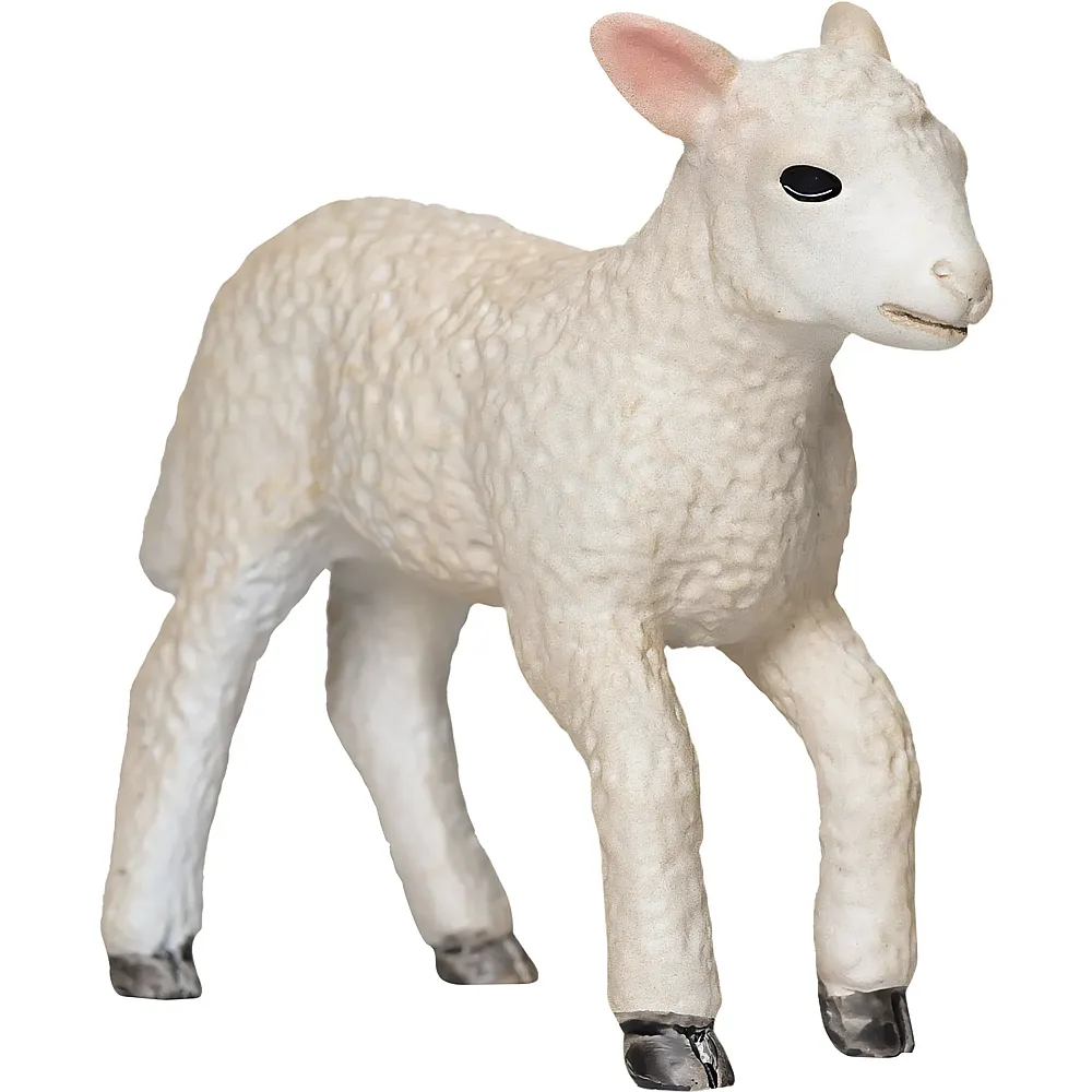 Mojo Romney Lamm laufend