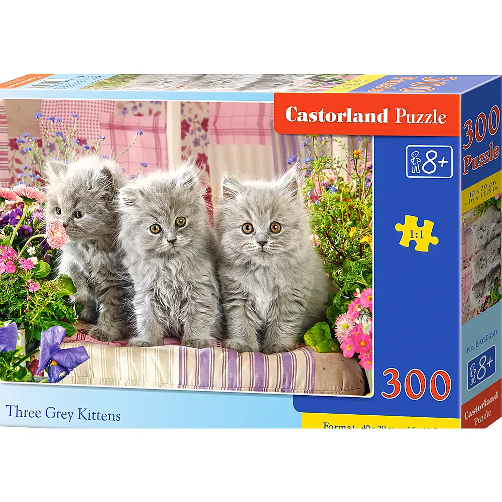 Castorland Puzzle Drei graue K�tzchen - 300 Teile