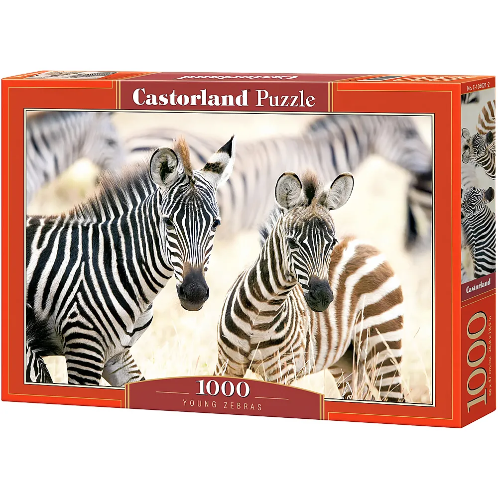Castorland Puzzle Junge Zebras 1000Teile