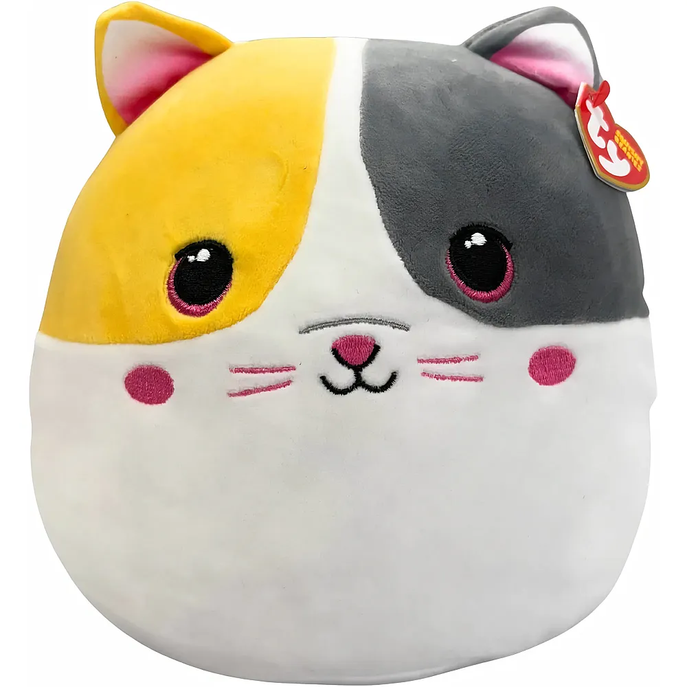 Ty Squishy Snuggles - Suche