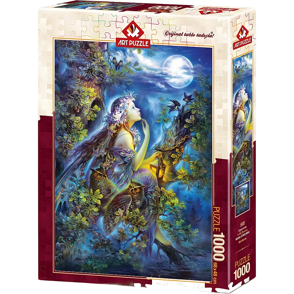 Art Puzzle My Dreams - 1000 Teile