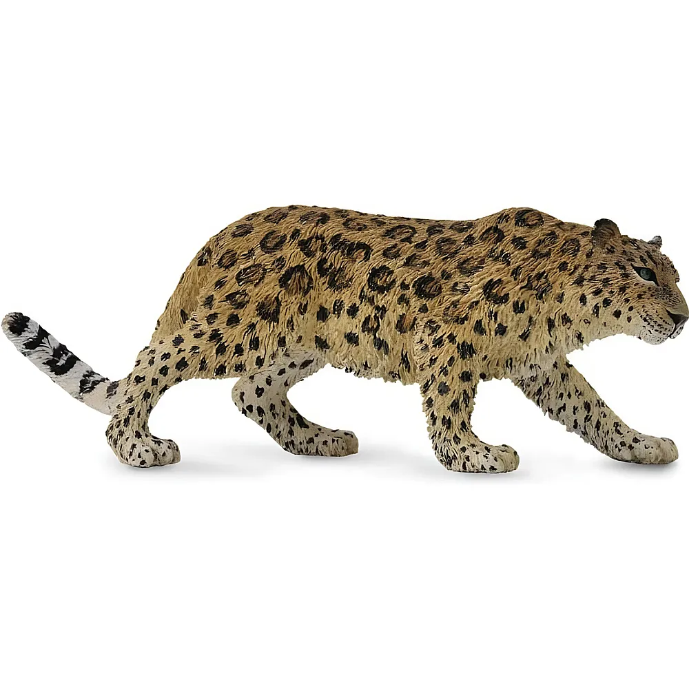 CollectA Wild Life Asia & Australasia Amur Leopard | Wildtiere