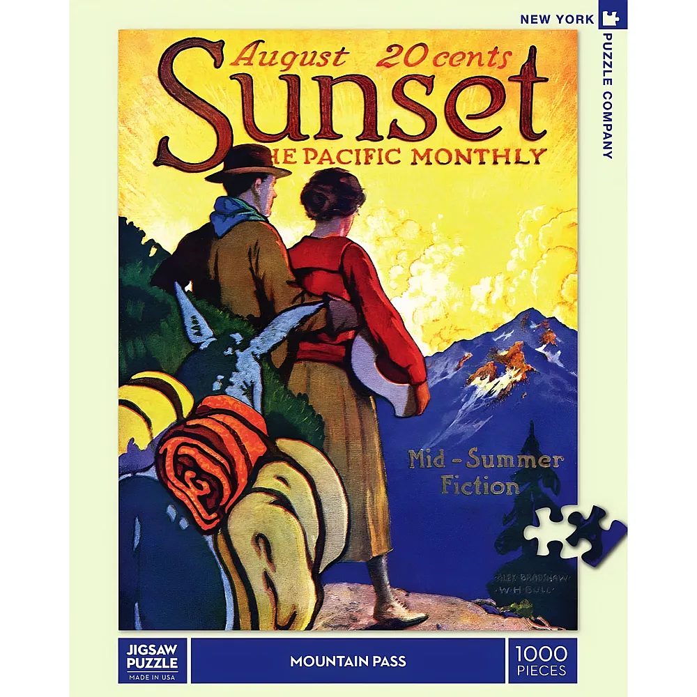 New York Puzzle Company Mountain Pass - 1000 Teile