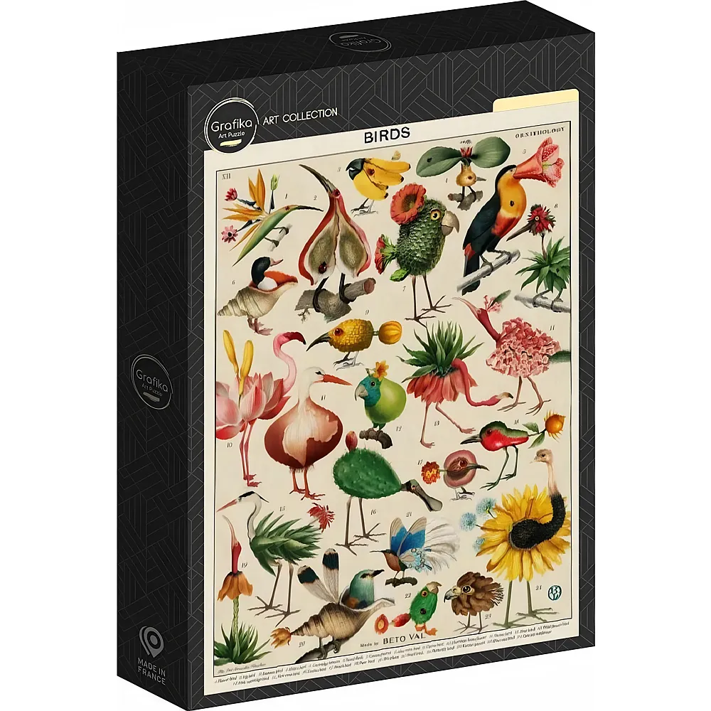 Grafika Puzzle Puzzle 500 Teile Birds by Beto Val