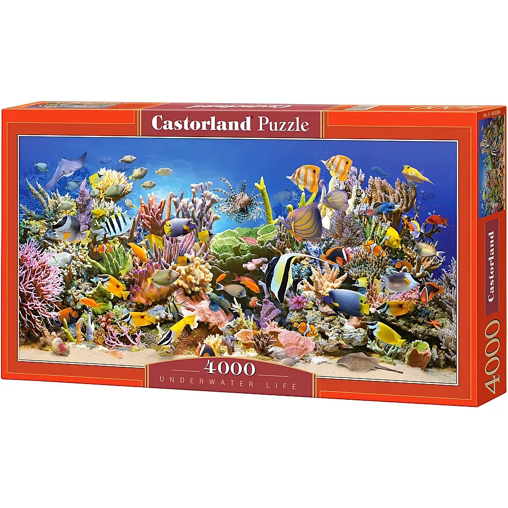 Castorland Puzzle Unterwasserleben 4000Teile