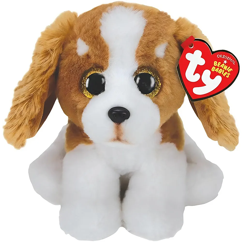 Ty Beanie Babies Barker Dachshund - Beanie Babies - Reg - Suche