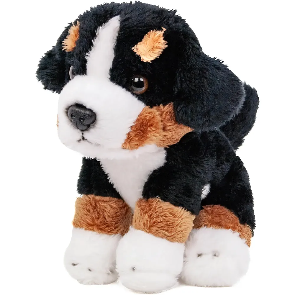 Teddys Rothenburg Bernese Mountain Dog sitting - 15 cm