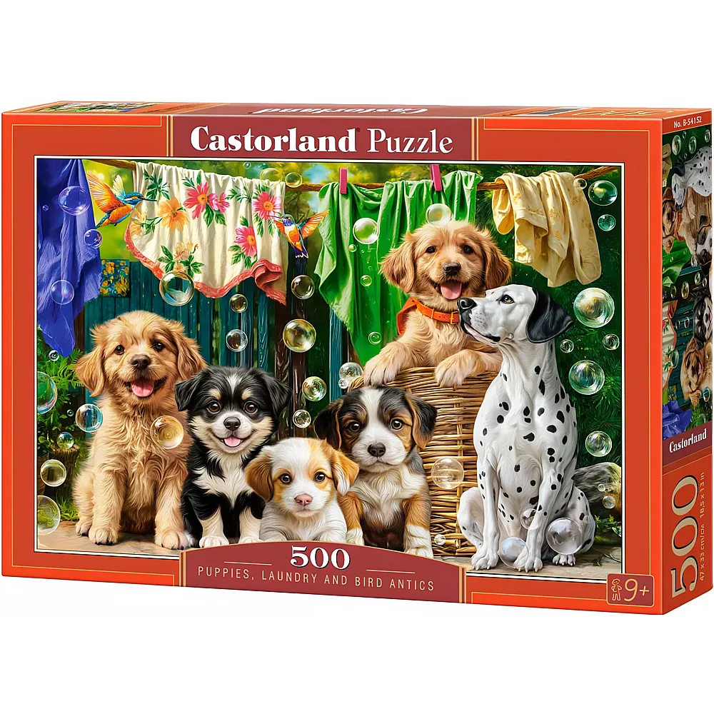 Castorland Puzzle Welpen, W�sche und Vogelgepl�nkel - 500 Teile