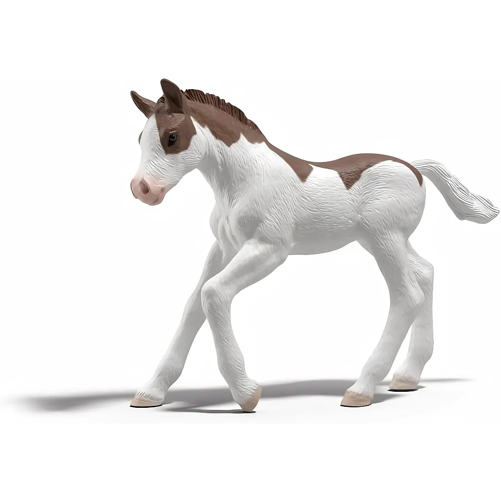 Schleich Sammelfohlen Dipper