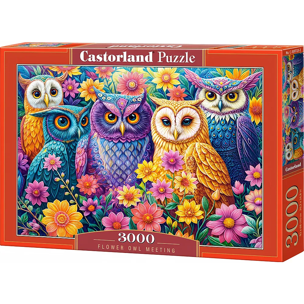 Castorland Puzzle Flower Owl Meeting - 3000 Teile